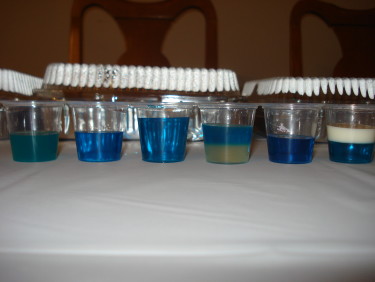 In Search of Blue Jello Shots